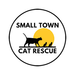 Small Town Cat Rescue Small Town Cat Rescue